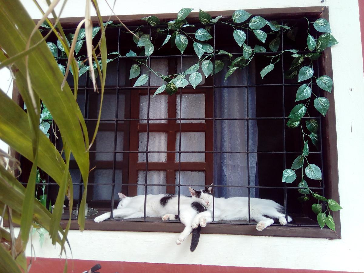 Hôtel Casa Mazejuwi à Campeche Extérieur photo